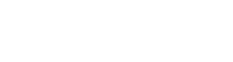 saleforce - Zyrix